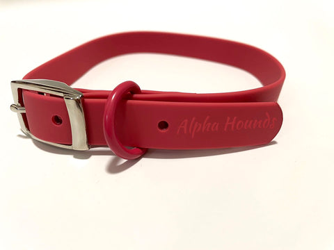 Waterproof Collars & Leads
