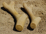 Wooden Fiber Antler Chew