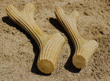 Wooden Fiber Antler Chew