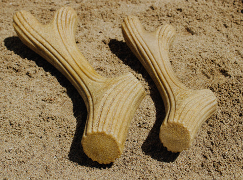 Wooden Fiber Antler Chew