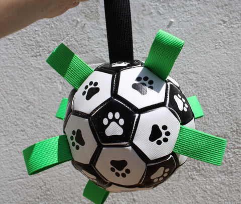 Dog Football with grab tags