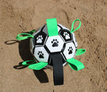 Dog Football with grab tags