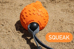 Dinoballs Dog Toy