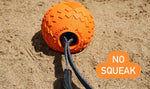 Dinoballs Dog Toy